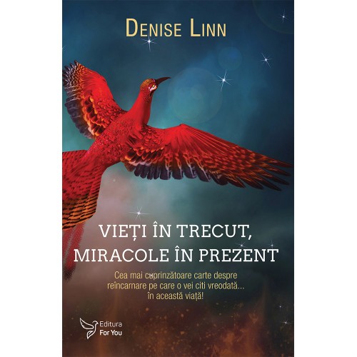 Vieți în trecut, miracole în prezent – Denise Linn